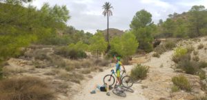 Palmera Phoenix en rambla del Chorrillo por Comunidad Biker MTB