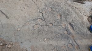 Petroglifos cazoletas en el Monte Arabí en Yecla en la roca por Comunidad Biker MTB