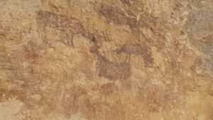 Pinturas rupestres en Monte Arabí en Cantos de Visera en Yecla por Comunidad Biker MTB