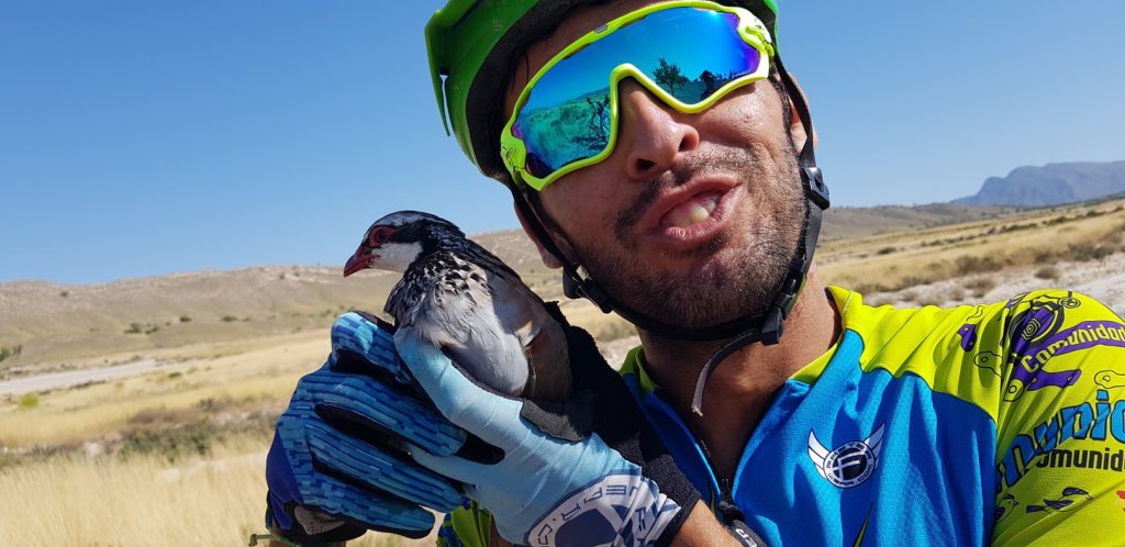 Con una perdiz moribunda en ruta de ciclismo de montaña por Comunidad Biker MTB