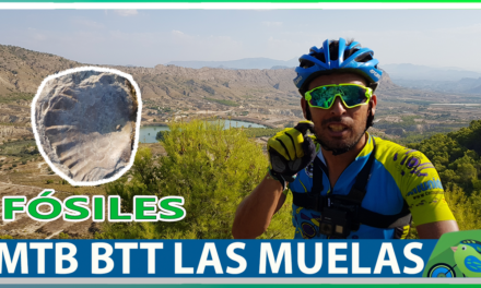 Vídeo | MTB BTT fósiles muelas y algunas ¿reflexiones?